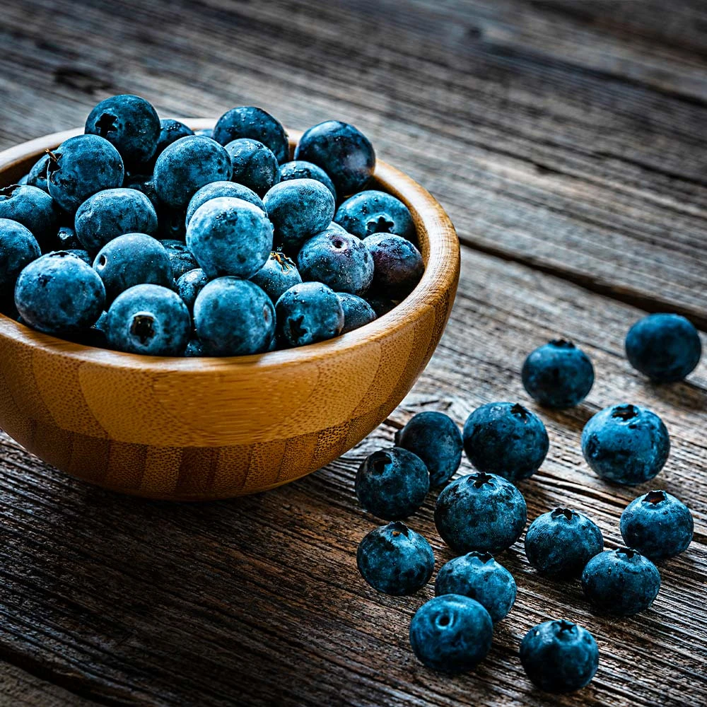 Aurora Blueberry Bush - USDA Organic 5 Aurora Blueberry Bush - USDA Organic - Image 5