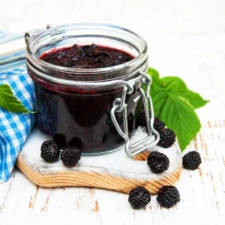 Big Daddy Blackberry Bush -Perennials Shop Big Daddy Blackberry 3