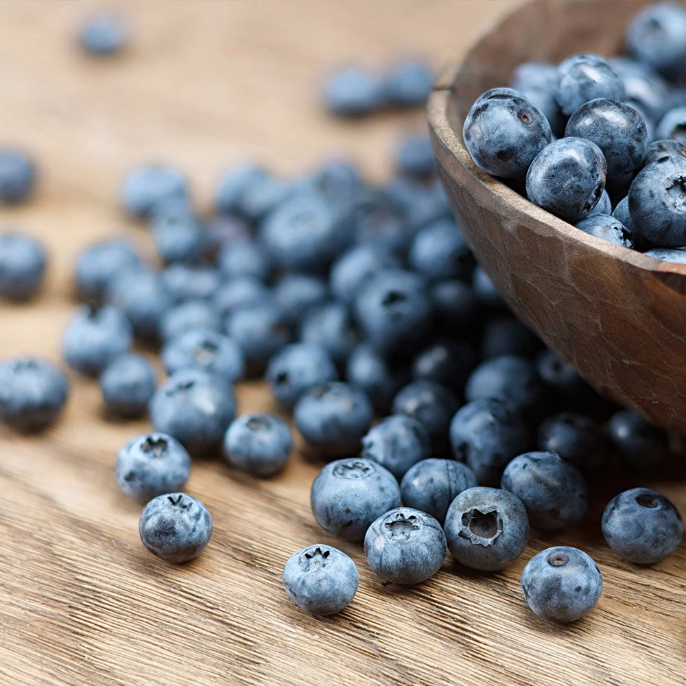 Emerald Blueberry Bush 3 Emerald Blueberry Bush - Image 3