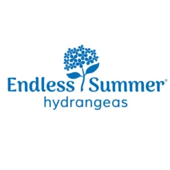 Endless Summer® Summer Crush® Hydrangea -Perennials Shop Endless Summer Hydrangeas 1000x1000 347a4889 45a5 42f4 94f1 e0220955e380