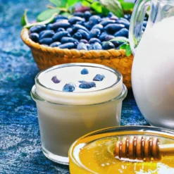 Indigo Gem Haskap (Honeyberry) -Perennials Shop Indigo GEm Haskap 1