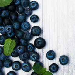 Jewel Blueberry Bush 5 Jewel Blueberry Bush -Perennials Shop Jewel Blueberry 2