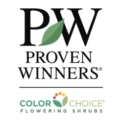 Gem Box® Holly Shrub 7 Gem Box® Holly Shrub -Perennials Shop PW Logo CC 1000x1000 67b974b3 f7ca 4748 8995 48aaad6580b1