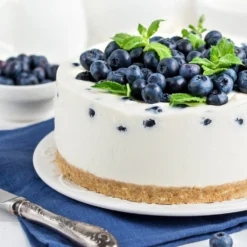 Sunshine Blue Blueberry Bush 7 Sunshine Blue Blueberry Bush -Perennials Shop SUnshine BLue Blueberry 4