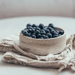 Sharpblue Blueberry Bush 5 Sharpblue Blueberry Bush -Perennials Shop Sharpblue Blueberry 1