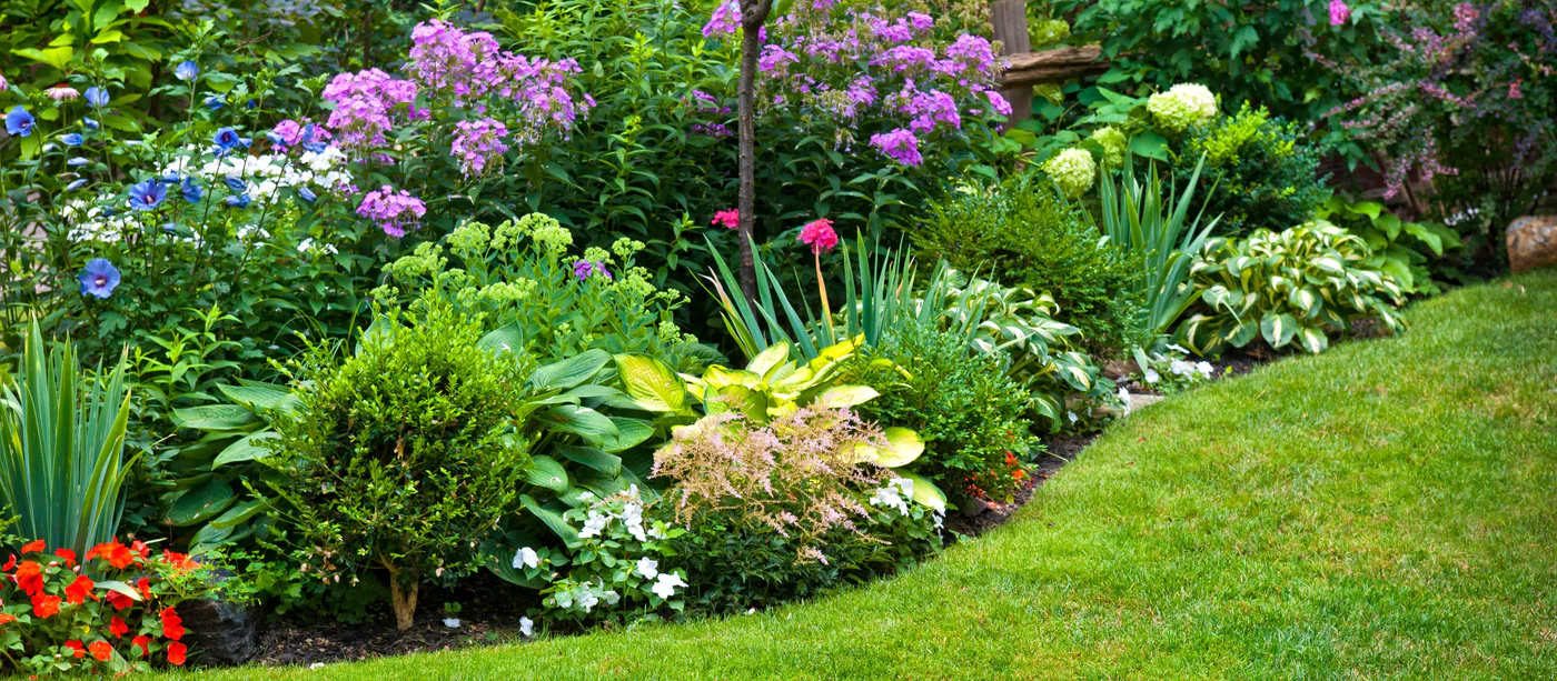 Perennials Shop -Perennials Shop 1.3.25homepage